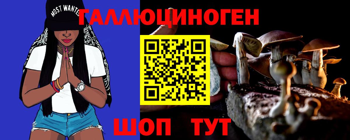 Псилоцибиновые грибы Cubensis Гусь-Хрустальный